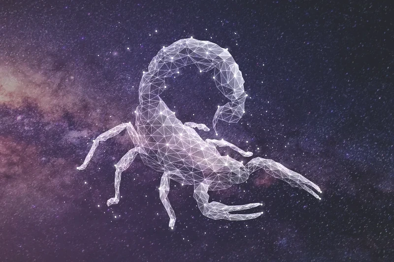 278934-800x533-zodiac-sign-matches-scorpio.webp
