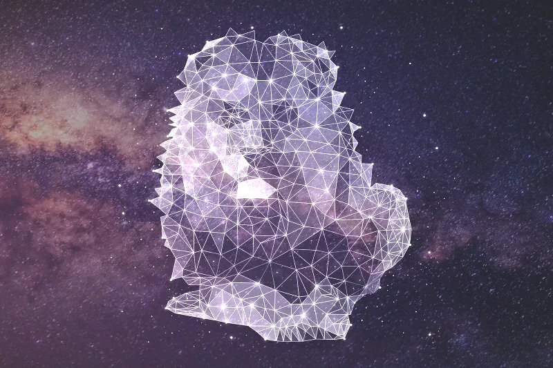 278931-800x533-zodiac-sign-matches-leo.webp