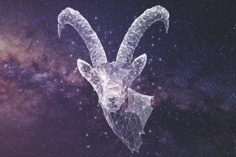 278938-800x533-zodiac-sign-matches-capricorn.webp