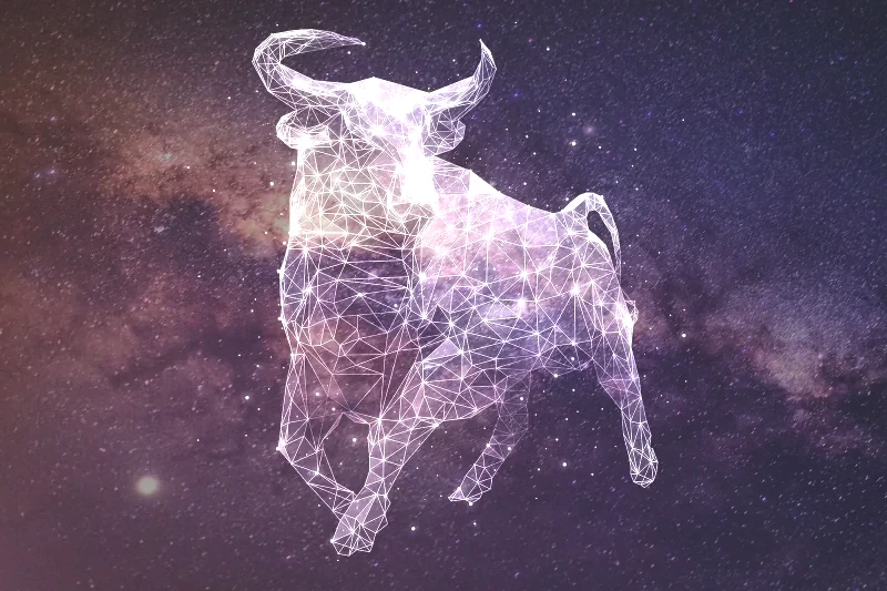 278928-800x533-zodiac-sign-matches-taurus.webp