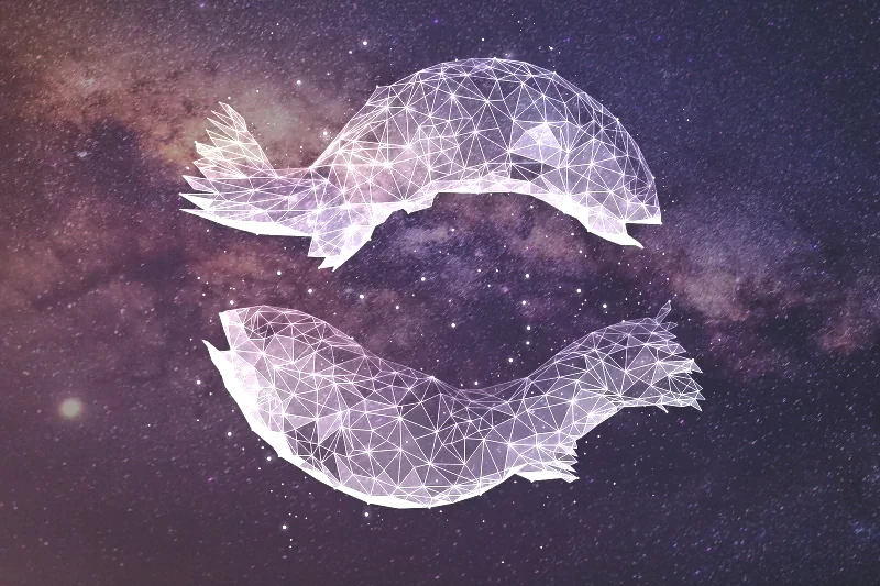 278942-800x533-zodiac-sign-matches-pisces.webp