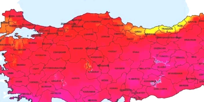 O ilimizde dev yılan görüntülendi! Uzmanlar üstüne basa basa uyardı: İstila başladı, hazırlıklı olun