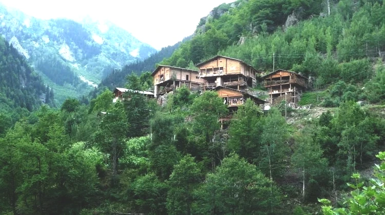 deepnature-161-1462893609.jpeg